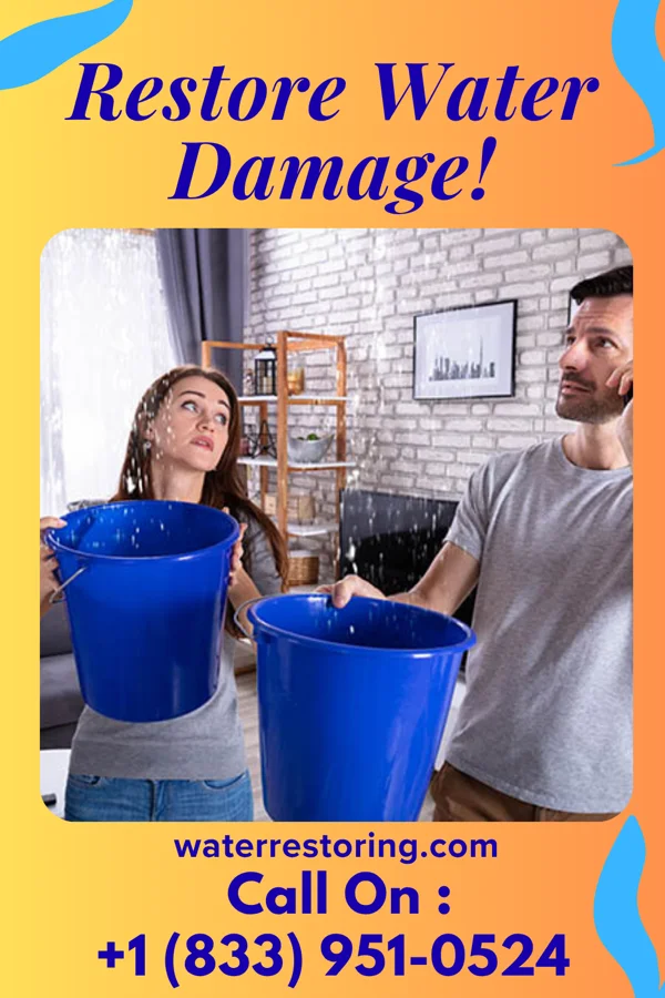 water restoration Royal Sewage Cleanup Solutions New Cassel