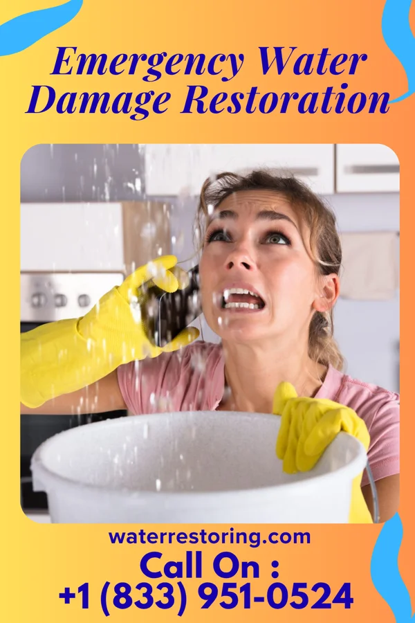 Emergency Water Damage Restoration in New Cassel, NY