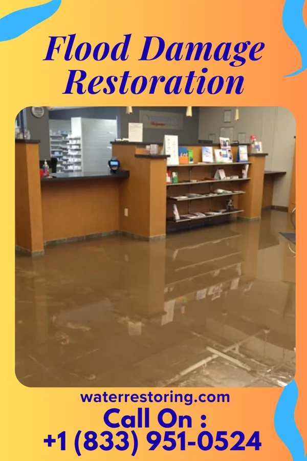 Flood Damage Restoration in New Cassel, NY