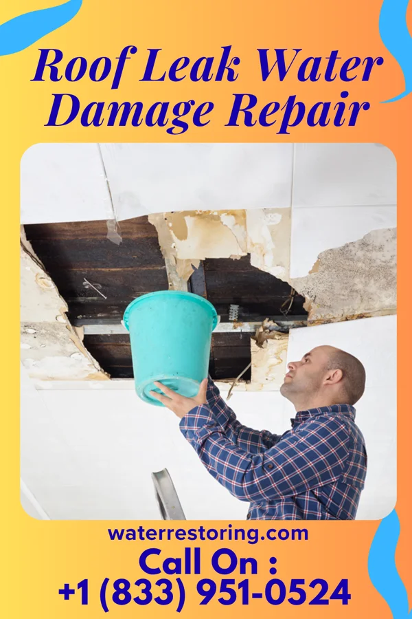 Roof Leak Water Damage Repair in New Cassel, NY