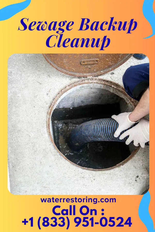 Sewage Backup Cleanup in New Cassel, NY